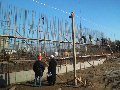 sugar storage
